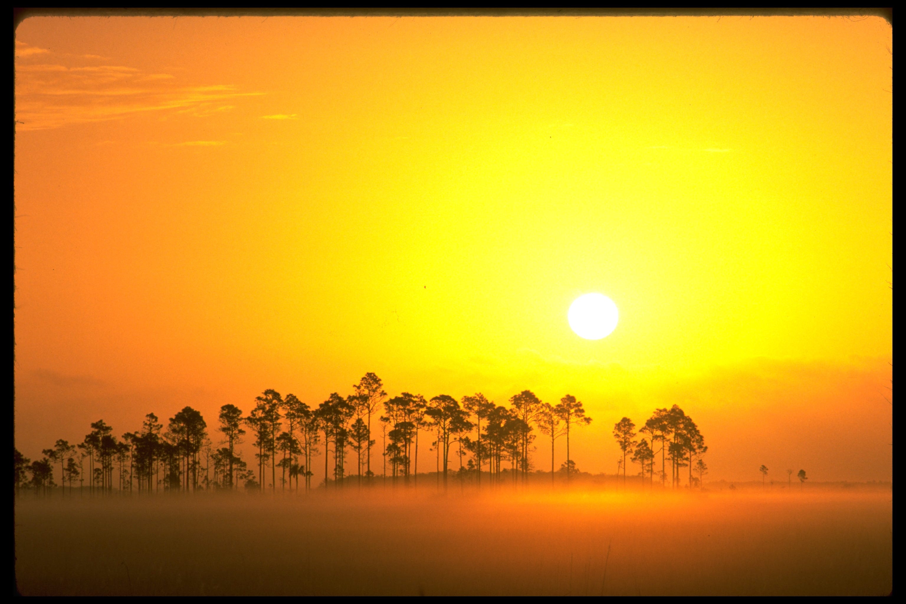 Artwork for TED’s Newsletter