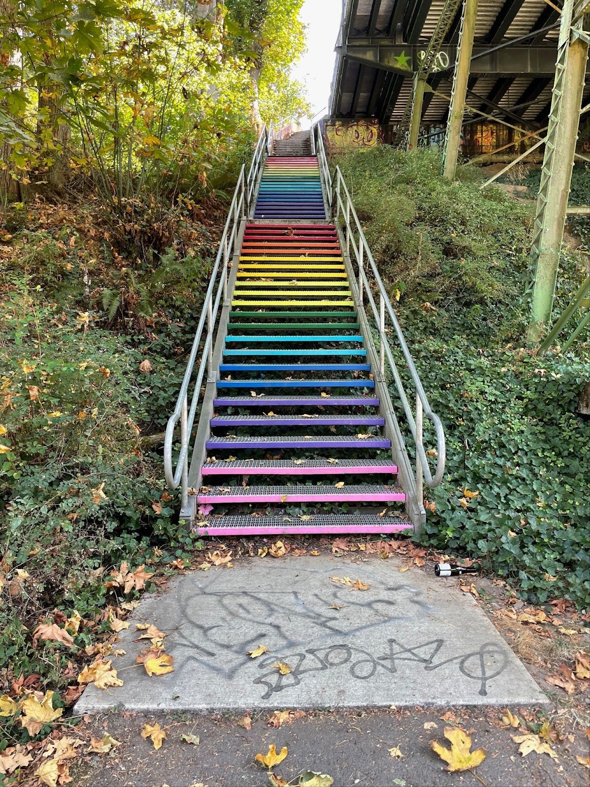 Stairs at Lower Macleay entrance