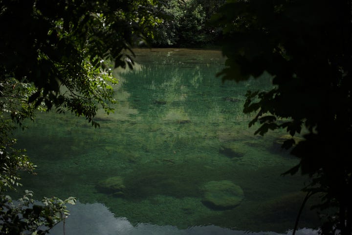 A photo and three images generated from this photo, 2023