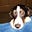 Stuart Lynch's avatar