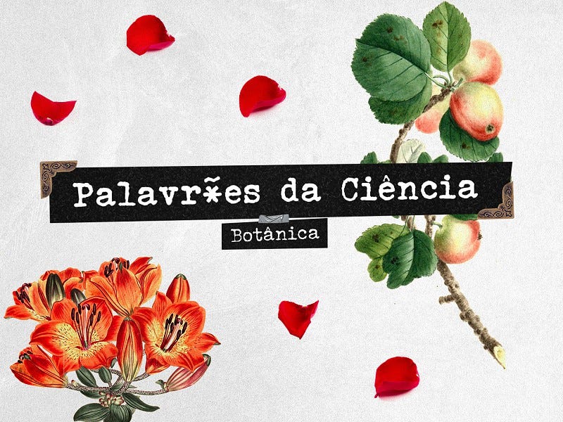 O estranho caso da cegueira das plantas