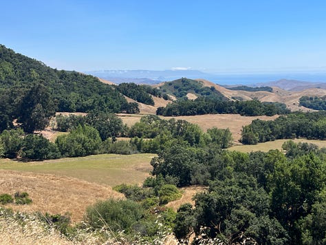 photos of the landscape from my hike
