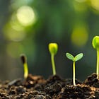 Early Signs of a Hollywood Turnaround 