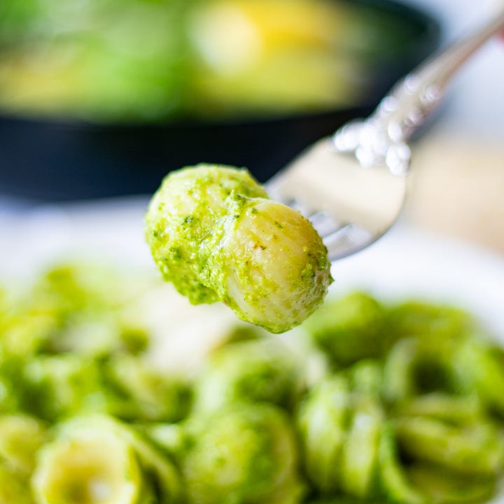 Parlsey pesto coating pasta shells and brushed over seared tipalia.