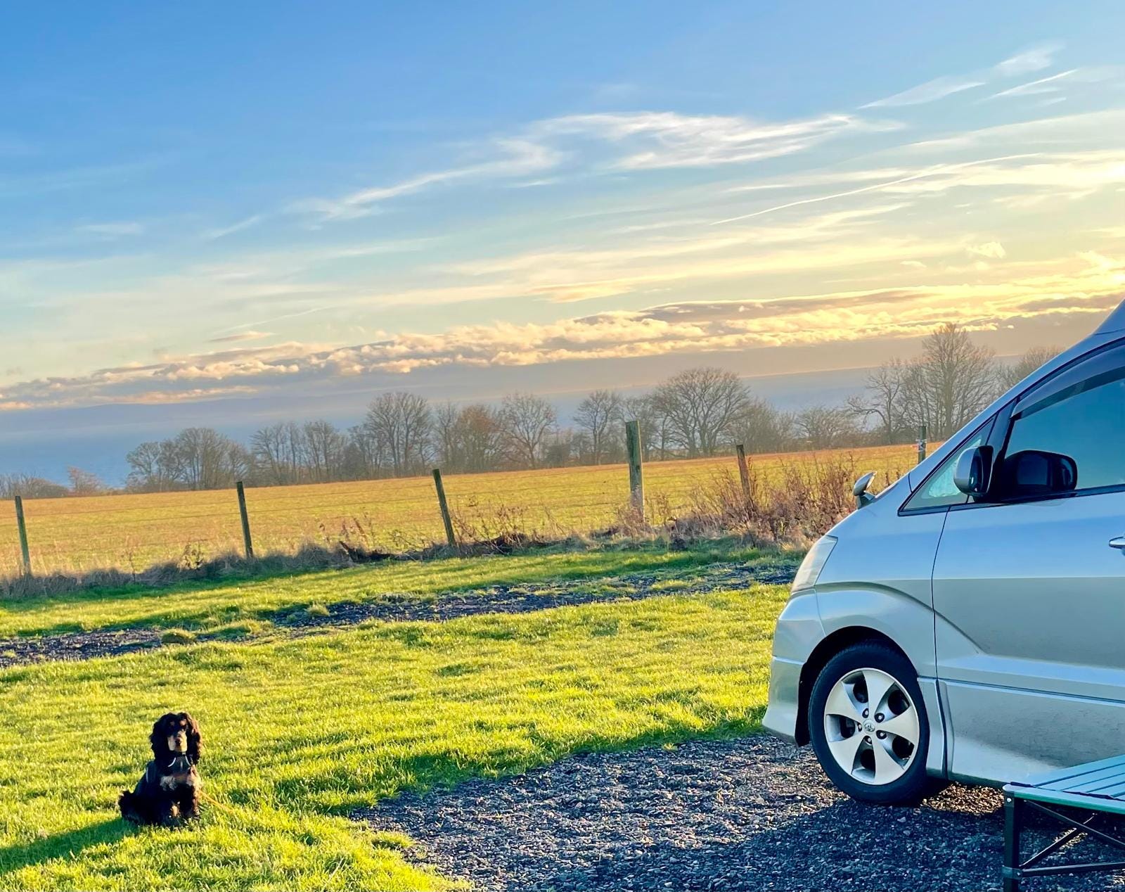 Maiden voyage goes down the pan - by David Mill