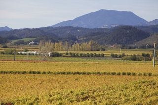 A - Napa Valley @ 700 dpi 9 A - Napa Valley @ 700 dpi 9