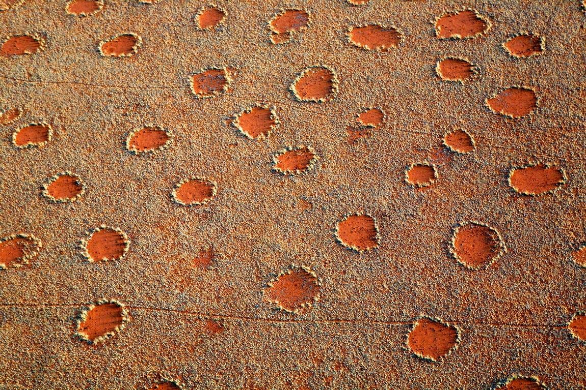 Fairy circles in Namibia Fairy circles in Namibia