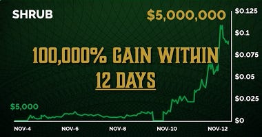 SHRUB Chart showing 12-day price surge SHRUB Chart showing 12-day price surge