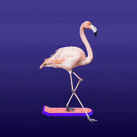 🦩All You Need To Know About Flamingo DAO