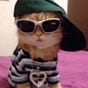 BowTiedTikTok's avatar
