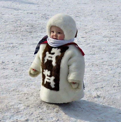 A Yakut child in traditional winter dress, Siberia : r/pics