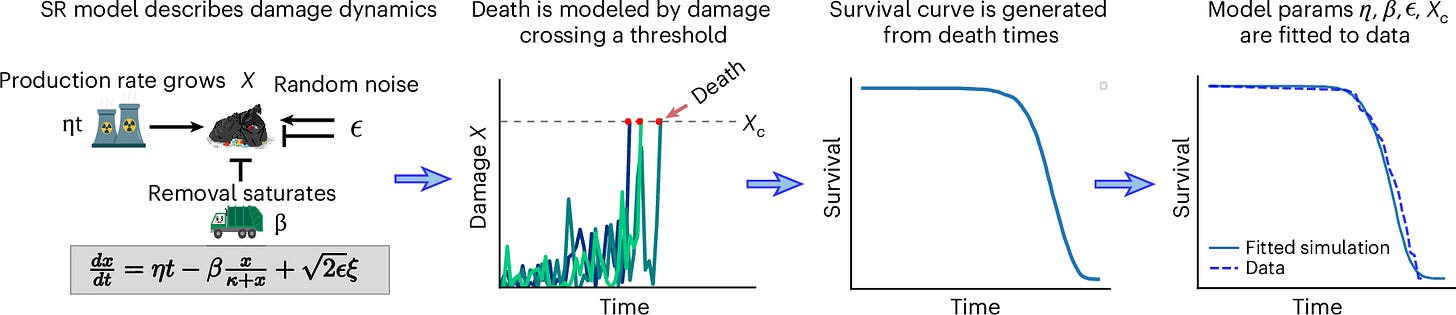 Fig. 1: Schematic overview of SR model.