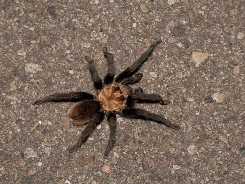 20250722-Sabino-27-Edit.jpg 20250722-Sabino-27-Edit.jpg