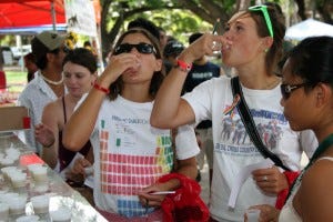 Kava Festival - Photo by Evan Tector