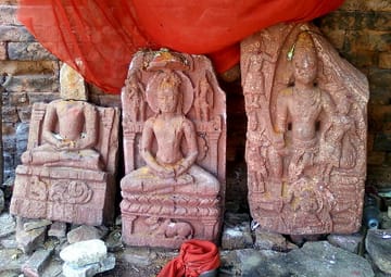 Image Image