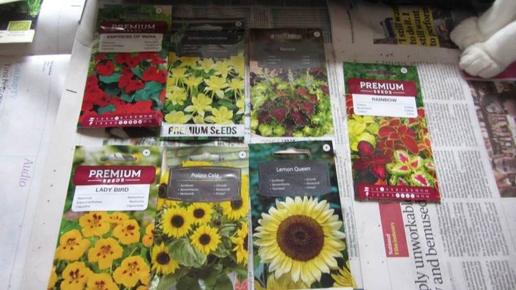 Several packages of flowers
AI-generated content may be incorrect. Several packages of flowers
AI-generated content may be incorrect.