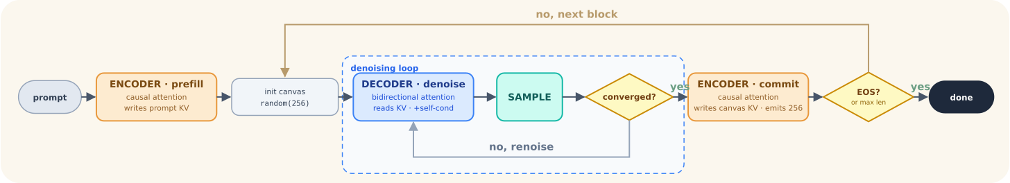 vLLM DiffusionGemma sampling loop