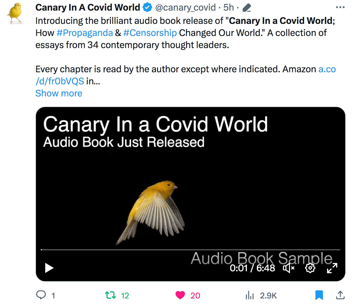 Canary in a COVID World Audiobook Canary in a COVID World Audiobook