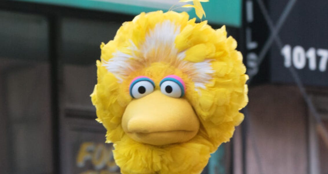 MSNBC Worries the Demise of Big Bird Could Send America&rsquo;s Children Flocking to PragerU Kids
