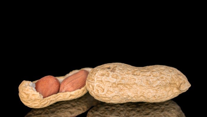 US guidelines launched by leading medical organisations in 2015 and expanded in 2017 recommended early peanut exposure for infants