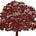 Studemont Group's avatar
