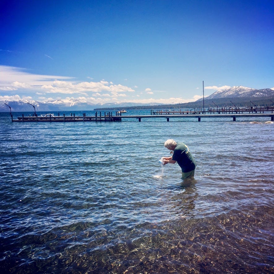 A person standing in water

AI-generated content may be incorrect.