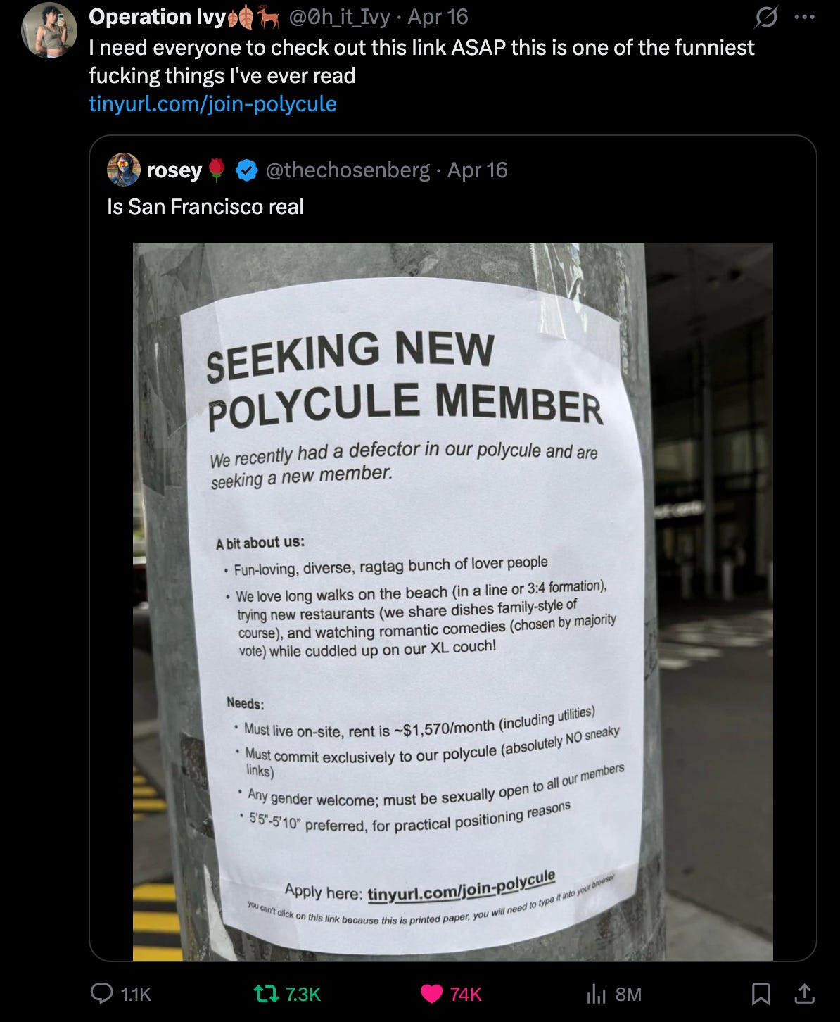 Polycule Poster i tricked 3 million people into believing in an evil fake polycule
