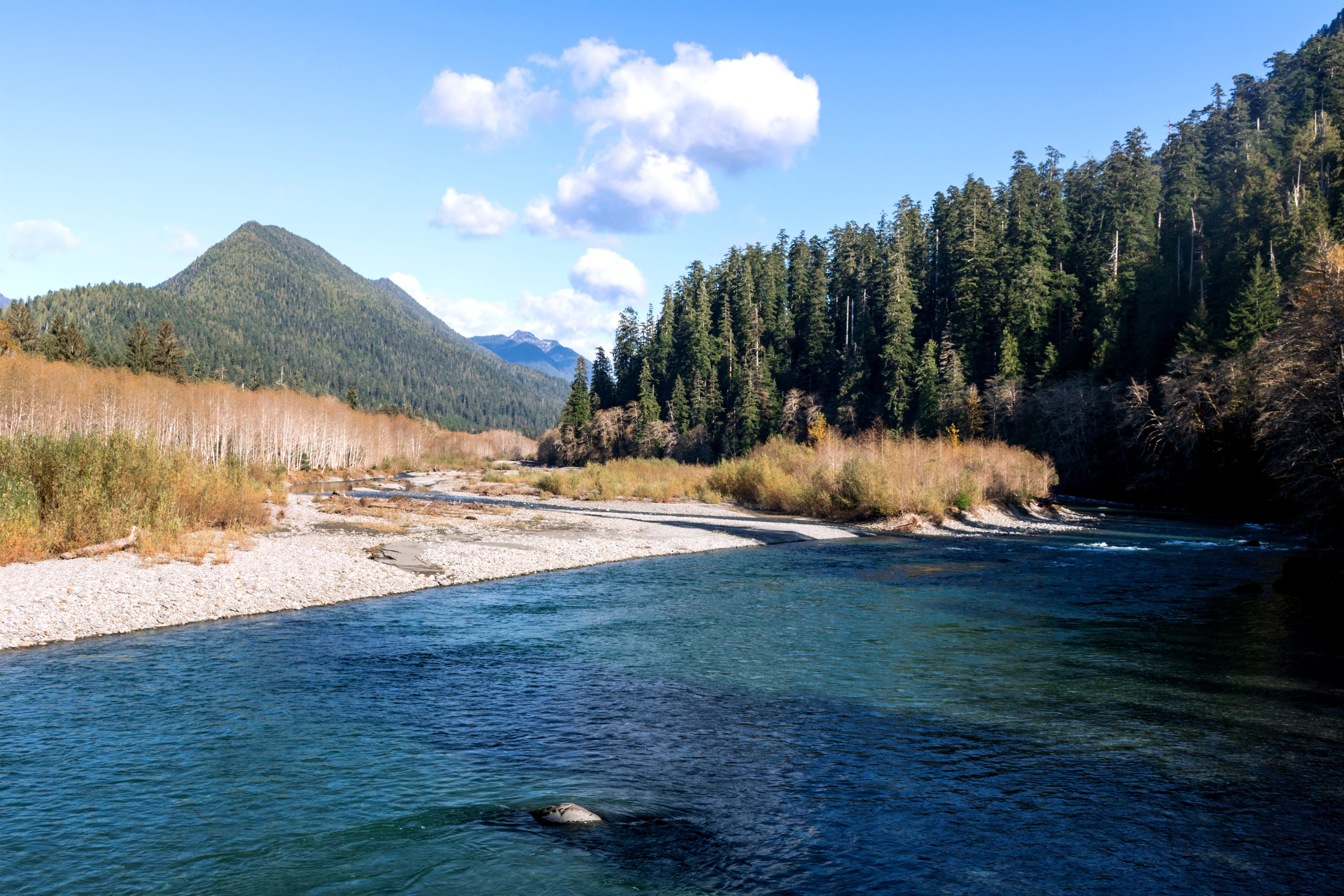 Only 20% of American Rivers Are Sufficiently Protected, First-of-its ...