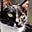 A Tompkins's avatar