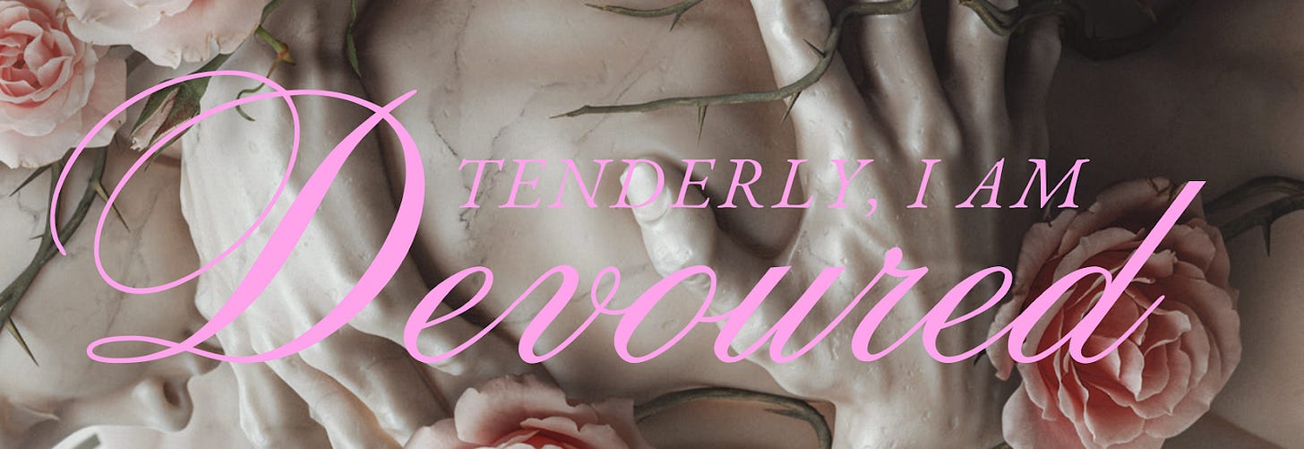 lyndall clipstone tenderly i am devoured hannah day bookmark