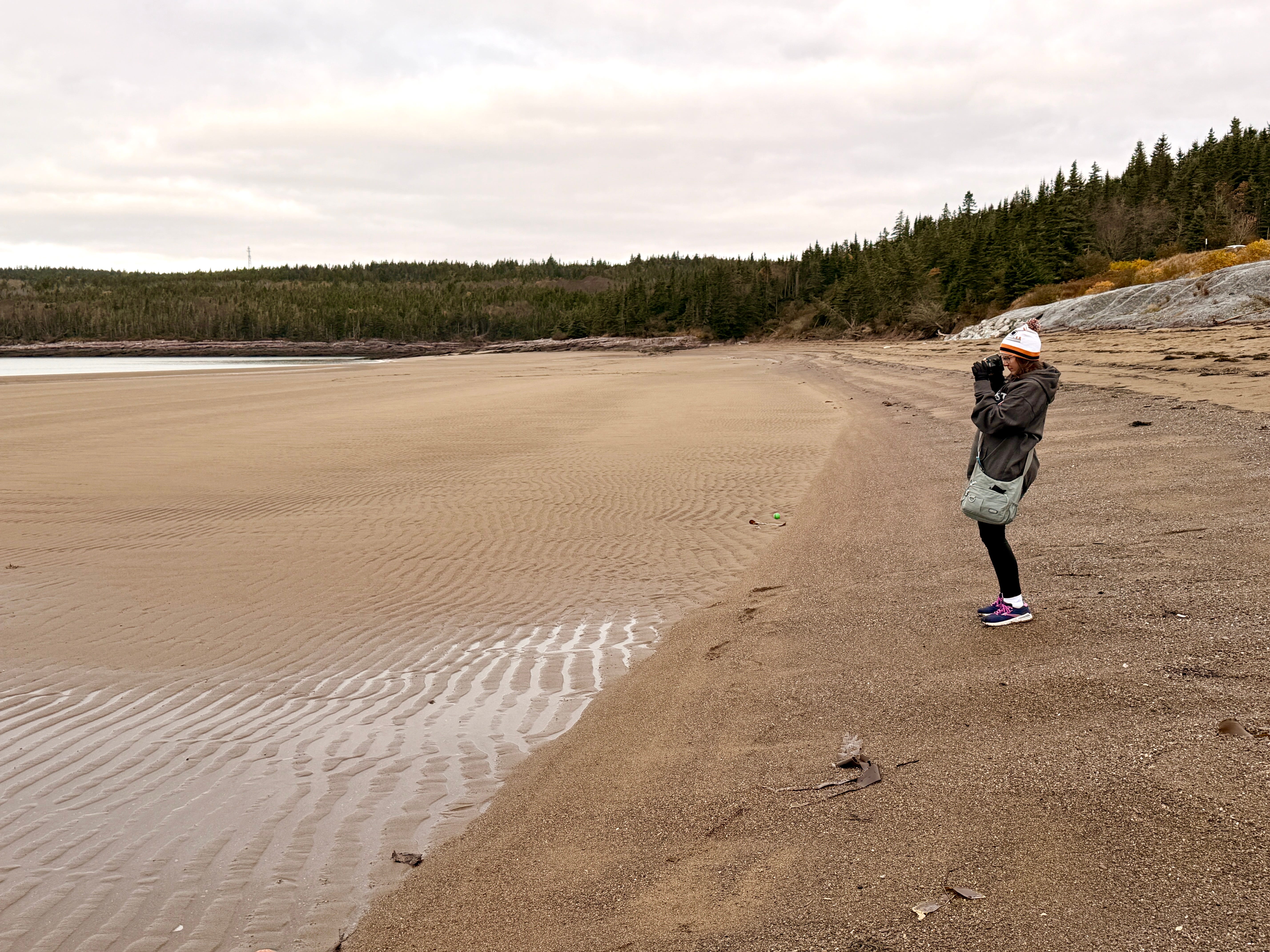 Lobster Rolls and Reversing Rivers in Canada