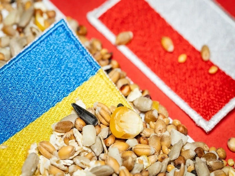 Another Polish-Ukrainian Grain Crisis is on the Horizon