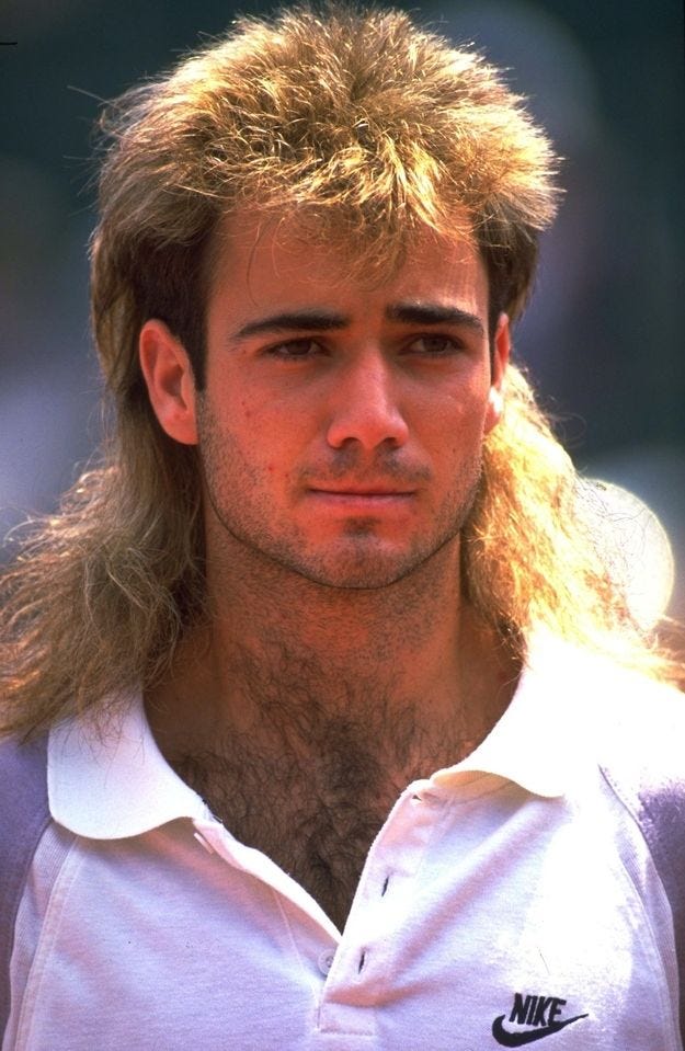 20 Reasons Andre Agassi's Wig Is Your Sexy Spirit Animal