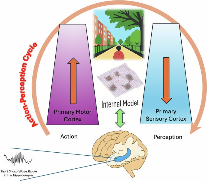 The Science of Intuition: Why It Works and How To Train It