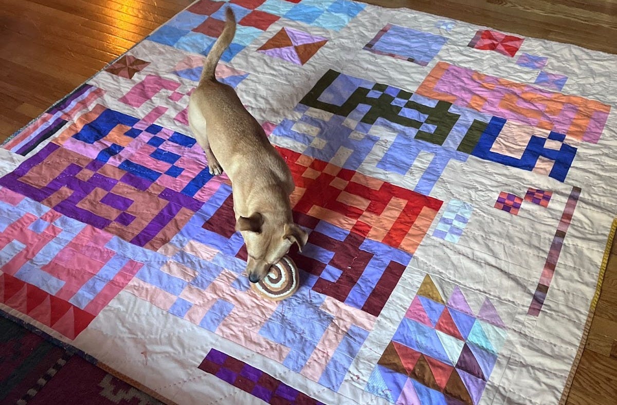 LASTLASTLAST quilt is laying on the floor, and Bagel is playing on it with his sticky bun toy. 
