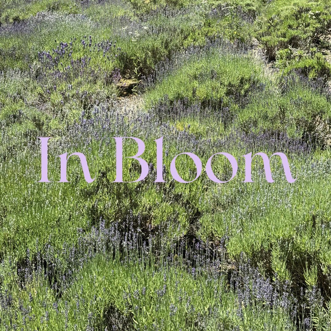 In Bloom