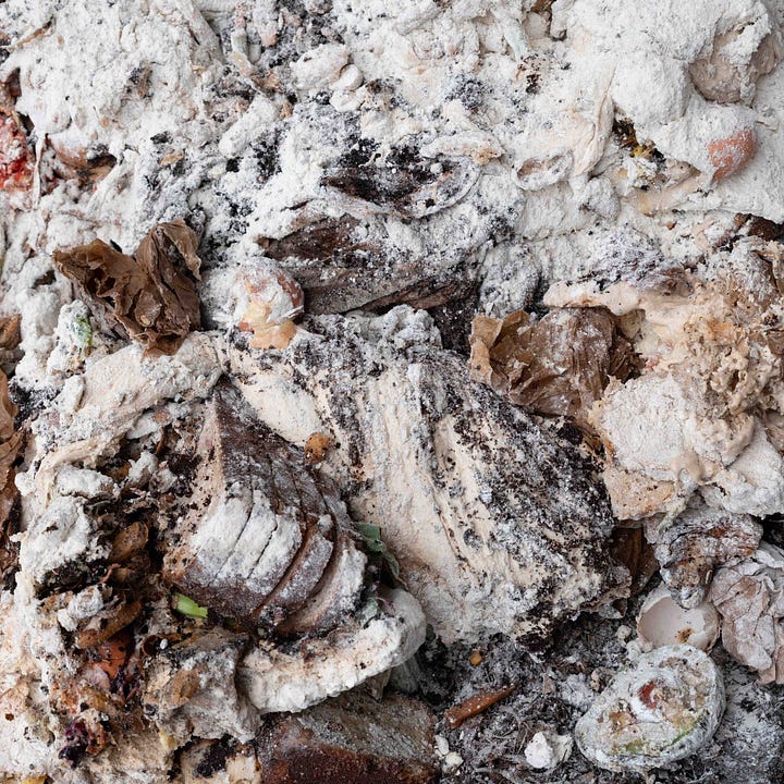 Diptych: Compost with Bread & Flour; Straw & Manure pile