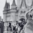 Reality Show #10 - Perrengue Encantado 