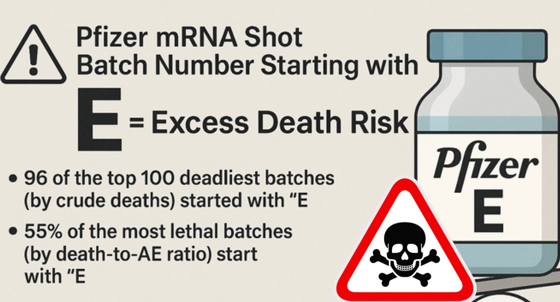 A warning sign with an exclamation mark and text reading "Pfizer mRNA Shot Batch Number Starting with E = Excess Death Risk." A Pfizer vaccine bottle labeled with an "E" and a red triangular warning sign featuring a skull and the letter "E." Additional text lists statistics: "96 of the top 100 deadliest batches (by crude deaths) started with ‘E’" and "55% of the most lethal batches (by death-to-AE ratio) start with ‘E.’" A warning sign with an exclamation mark and text reading "Pfizer mRNA Shot Batch Number Starting with E = Excess Death Risk." A Pfizer vaccine bottle labeled with an "E" and a red triangular warning sign featuring a skull and the letter "E." Additional text lists statistics: "96 of the top 100 deadliest batches (by crude deaths) started with ‘E’" and "55% of the most lethal batches (by death-to-AE ratio) start with ‘E.’"