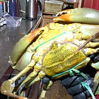 Mud crab sales land hefty fines