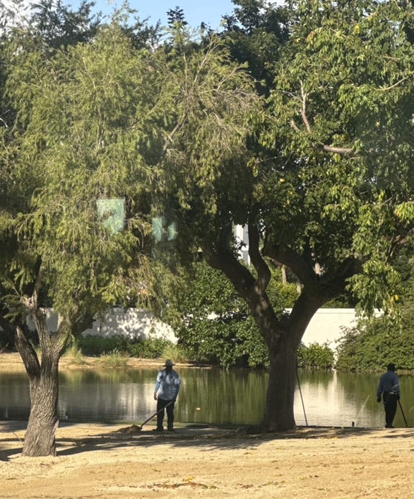 A group of people standing under trees by a body of water

AI-generated content may be incorrect.