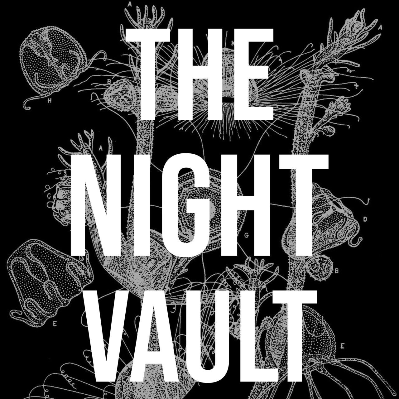The Night Vault Substack by J. Lincoln Fenn | Insights from Sidestack ...