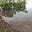 Gladstone Conservation Council's avatar