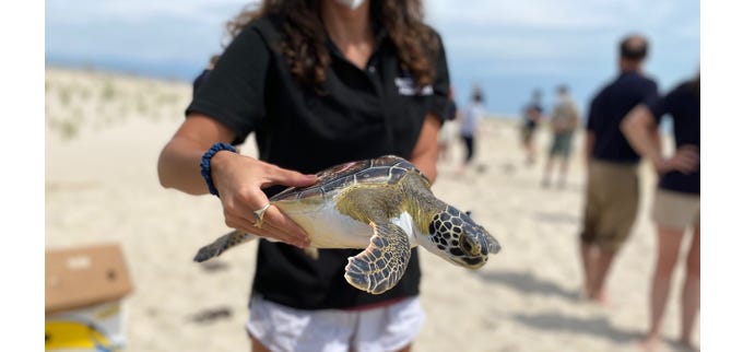 image 4.png image 4.png