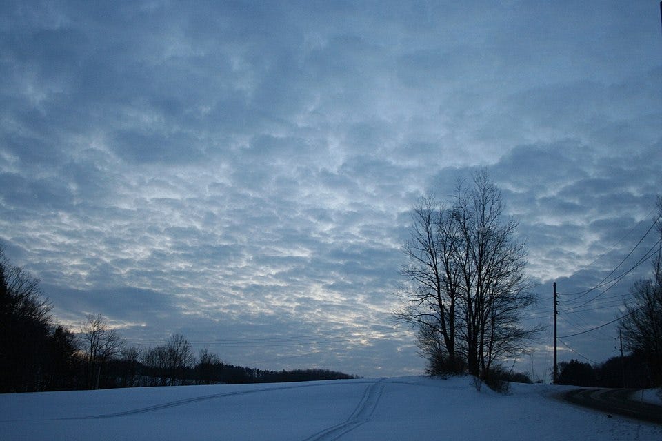 A snowy landscape with trees and a light pole

AI-generated content may be incorrect.