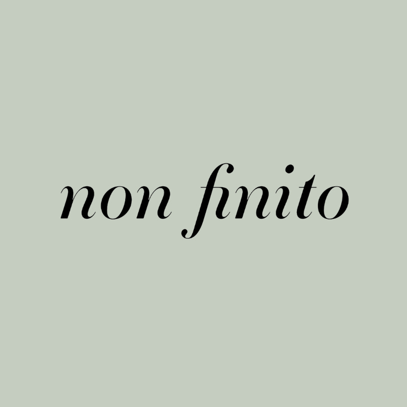 non finito