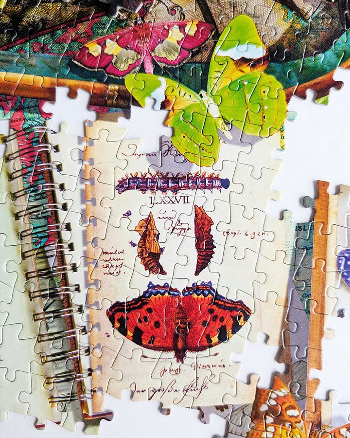 Buffalo Games The Butterfly Collector Jigsaw Puzzle