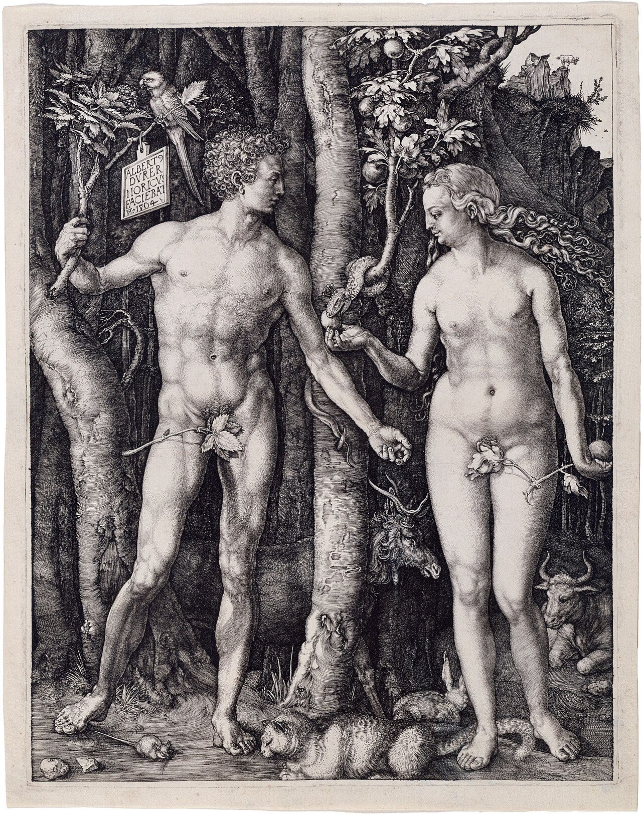 Durer's Adam and Eve panels, nude figures modeled on ancient statues Durer's Adam and Eve panels, nude figures modeled on ancient statues