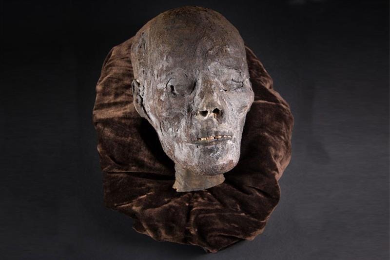 An ancient Egyptian mummified