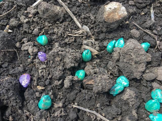 A group of rocks in the dirt
AI-generated content may be incorrect. A group of rocks in the dirt
AI-generated content may be incorrect.